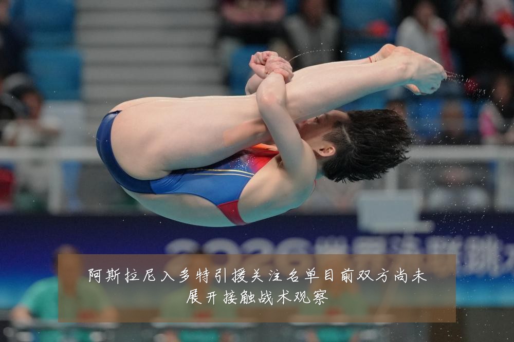 阿斯拉尼入多特引援关注名单目前双方尚未展开接触战术观察